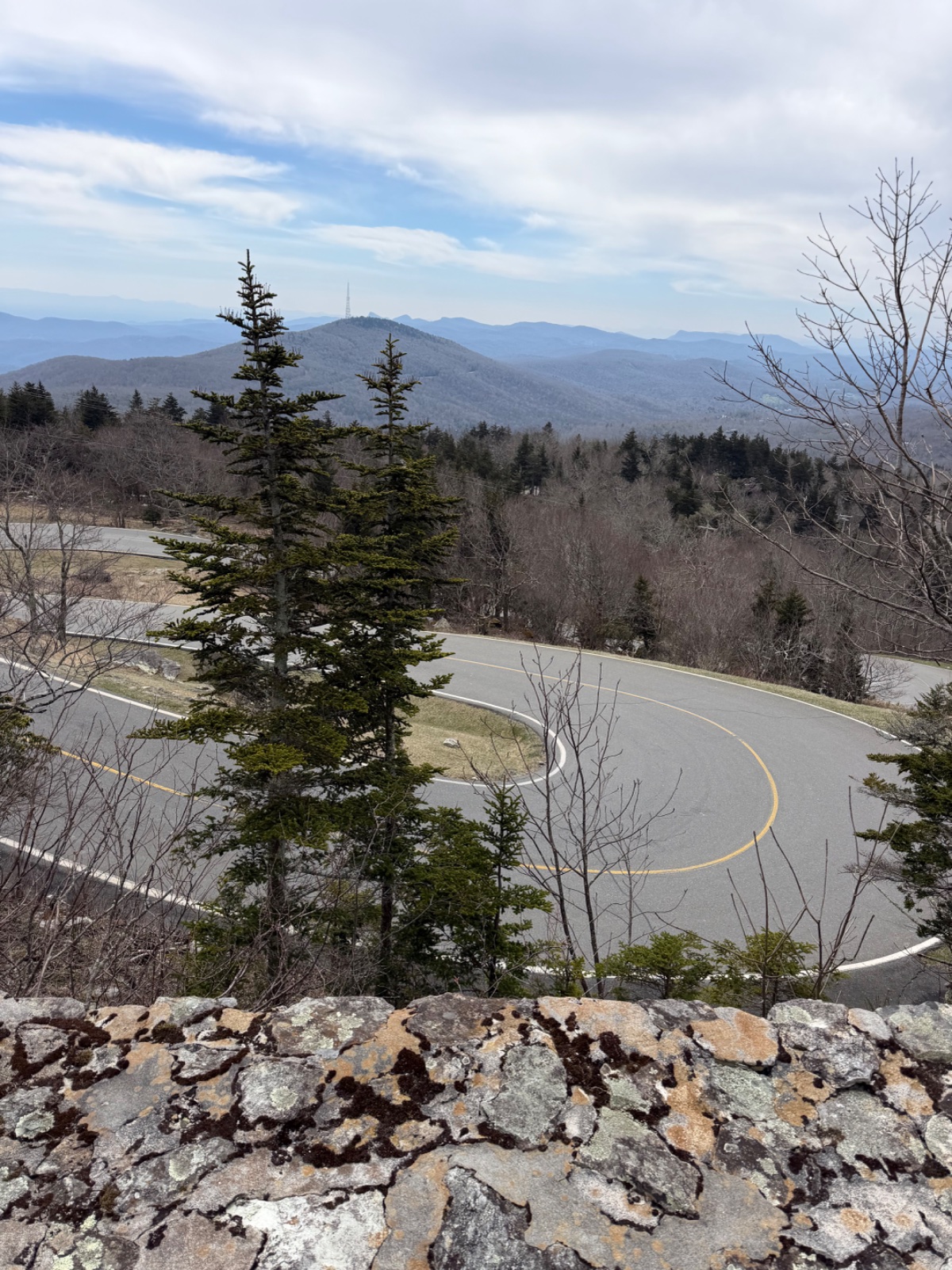 Grandfather Mountain with Kids: A Family Road Trip Guide