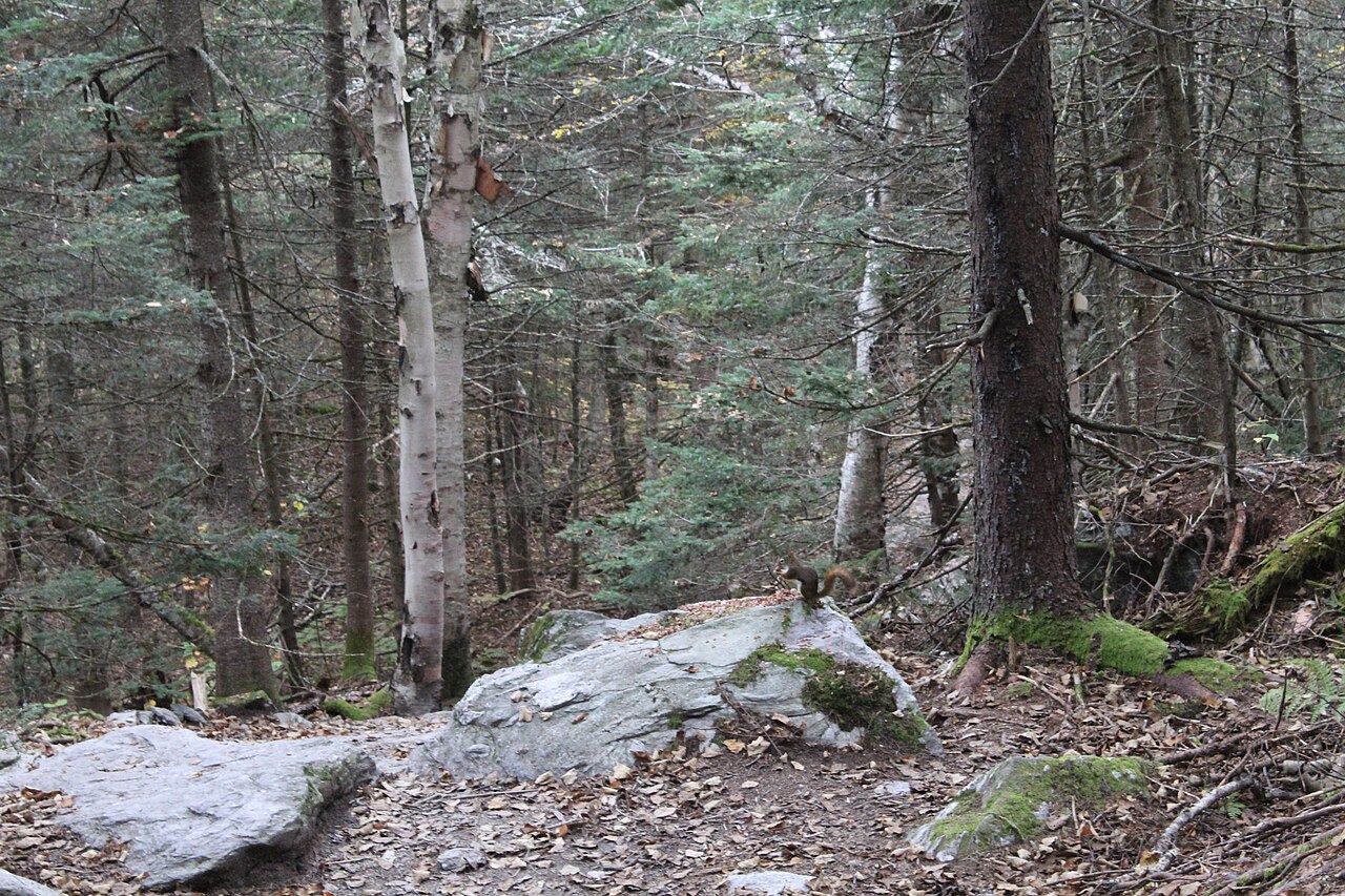 Stowe, the Green Mountains & Burlington — 5-Day Vermont Road Trip
